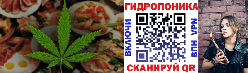 блэк спрут ССЫЛКА  Куртамыш  Canna-Cookies марихуана 