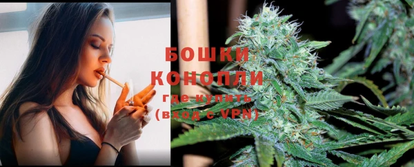 прущие грибы Абдулино