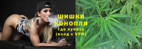 прущие грибы Абдулино
